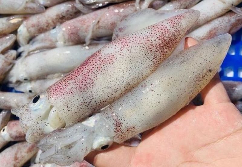 Những món ngon từ mực