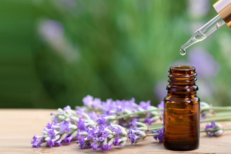 Tinh dầu thiên nhiên đem lại cho người dùng những trải nghiệm mùi hương rất thú vị