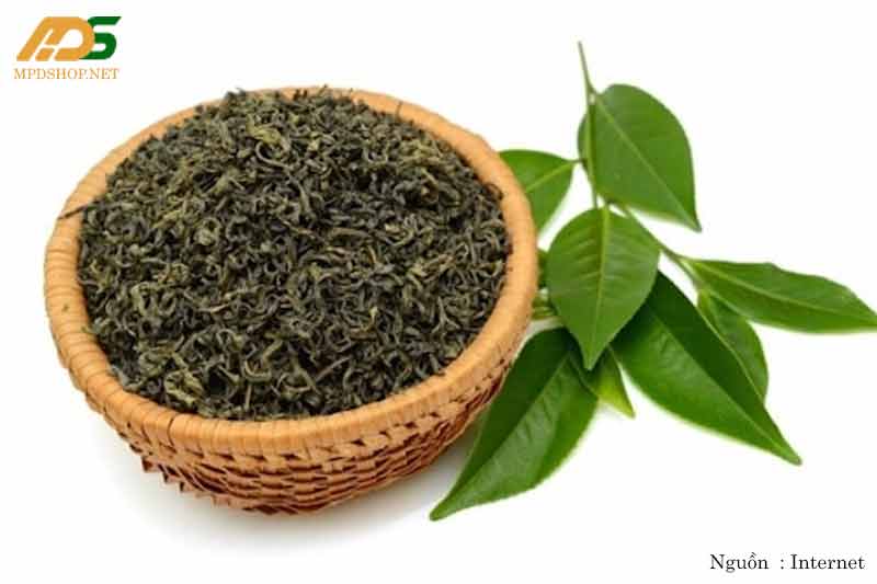 Chè Thái Nguyên được trồng theo mô hình VietGAP