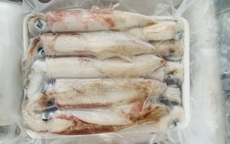 Cách chọn mua mực tươi cấp đông ngon