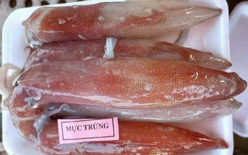 Giá trị dinh dưỡng của mực trứng mang lại