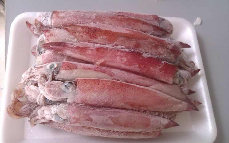 Mực tươi cấp đông chất lượng