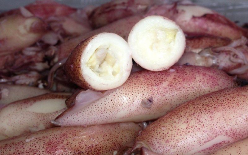 Cách chọn mua mực tươi cấp đông ngon