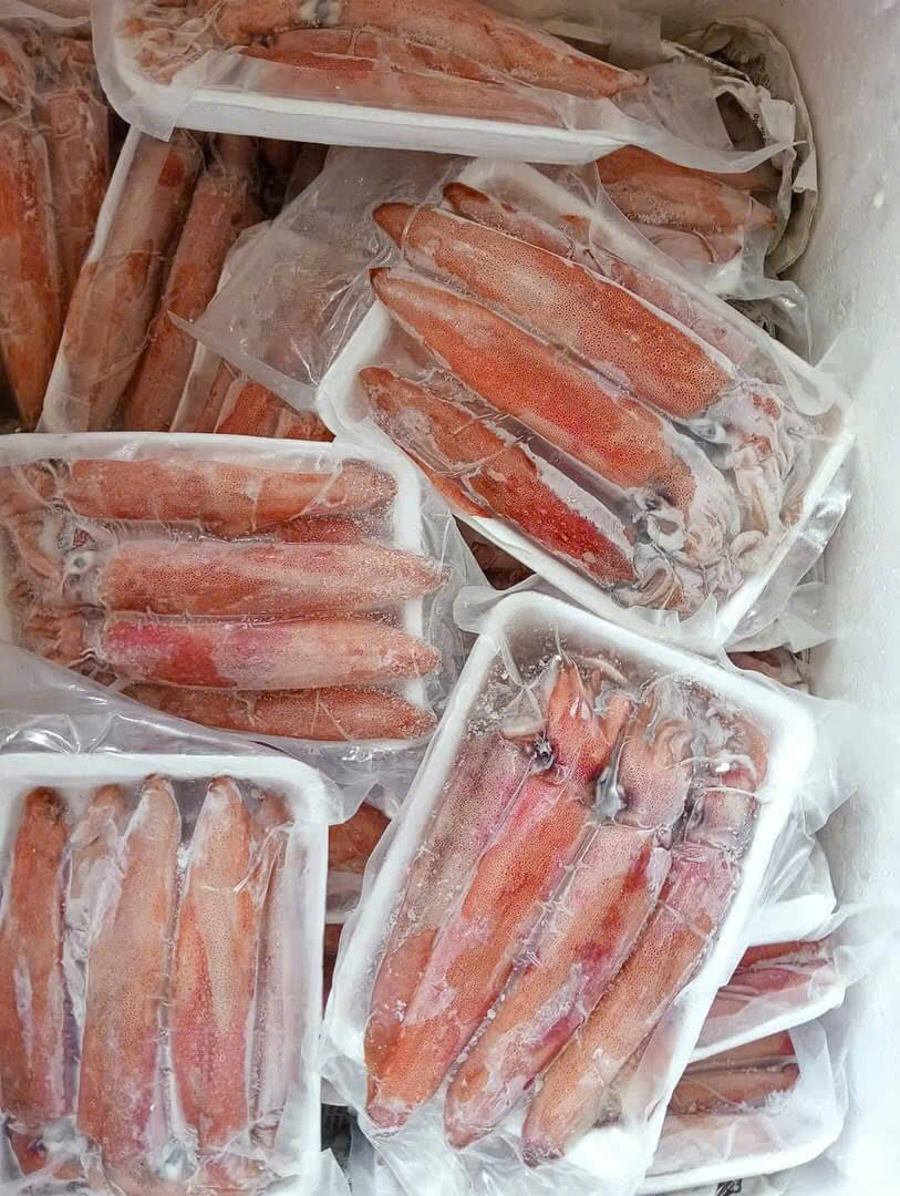 Bảo quản & sơ chế mực cấp đông
